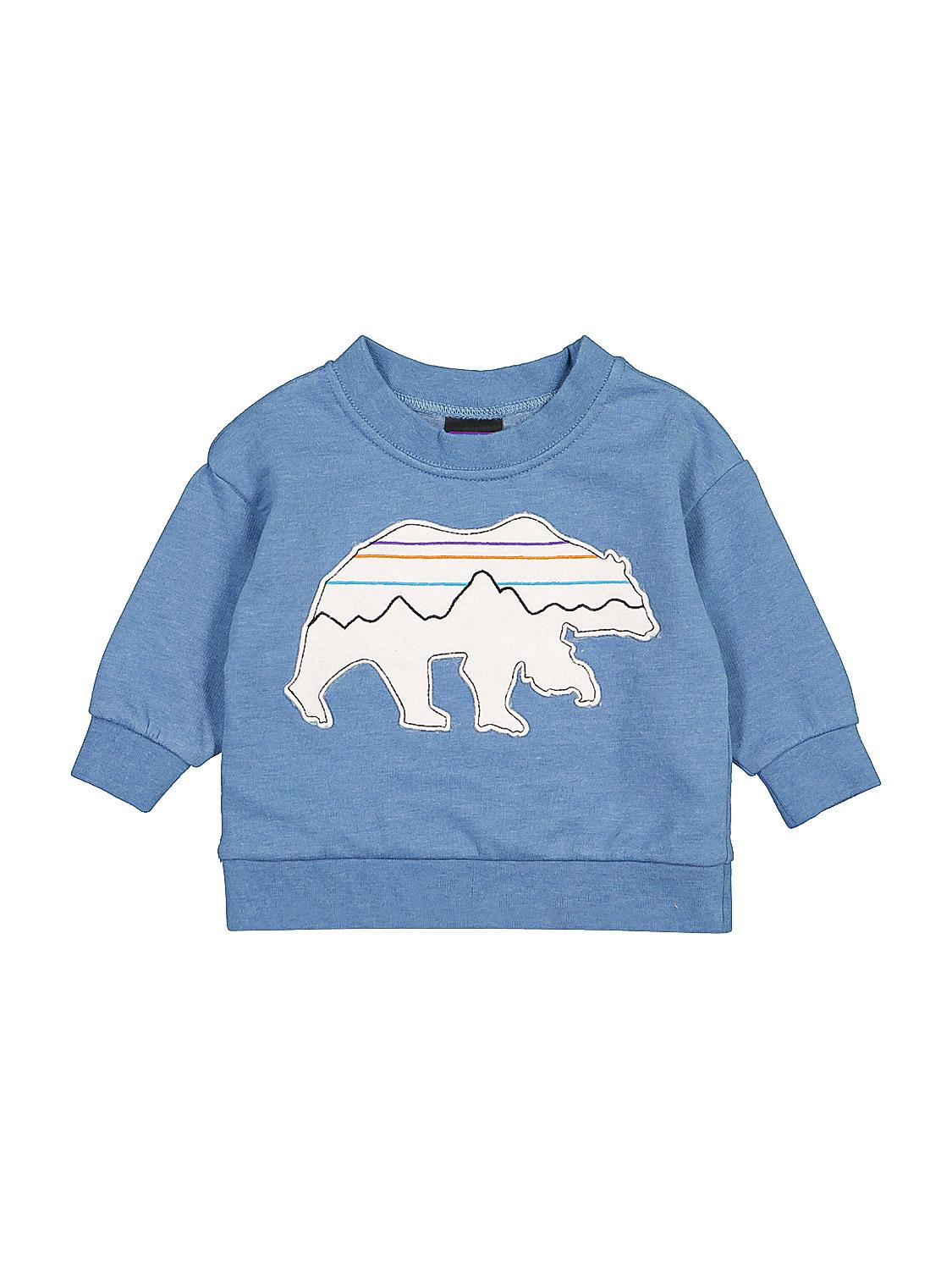 patagonia blue sweatshirt