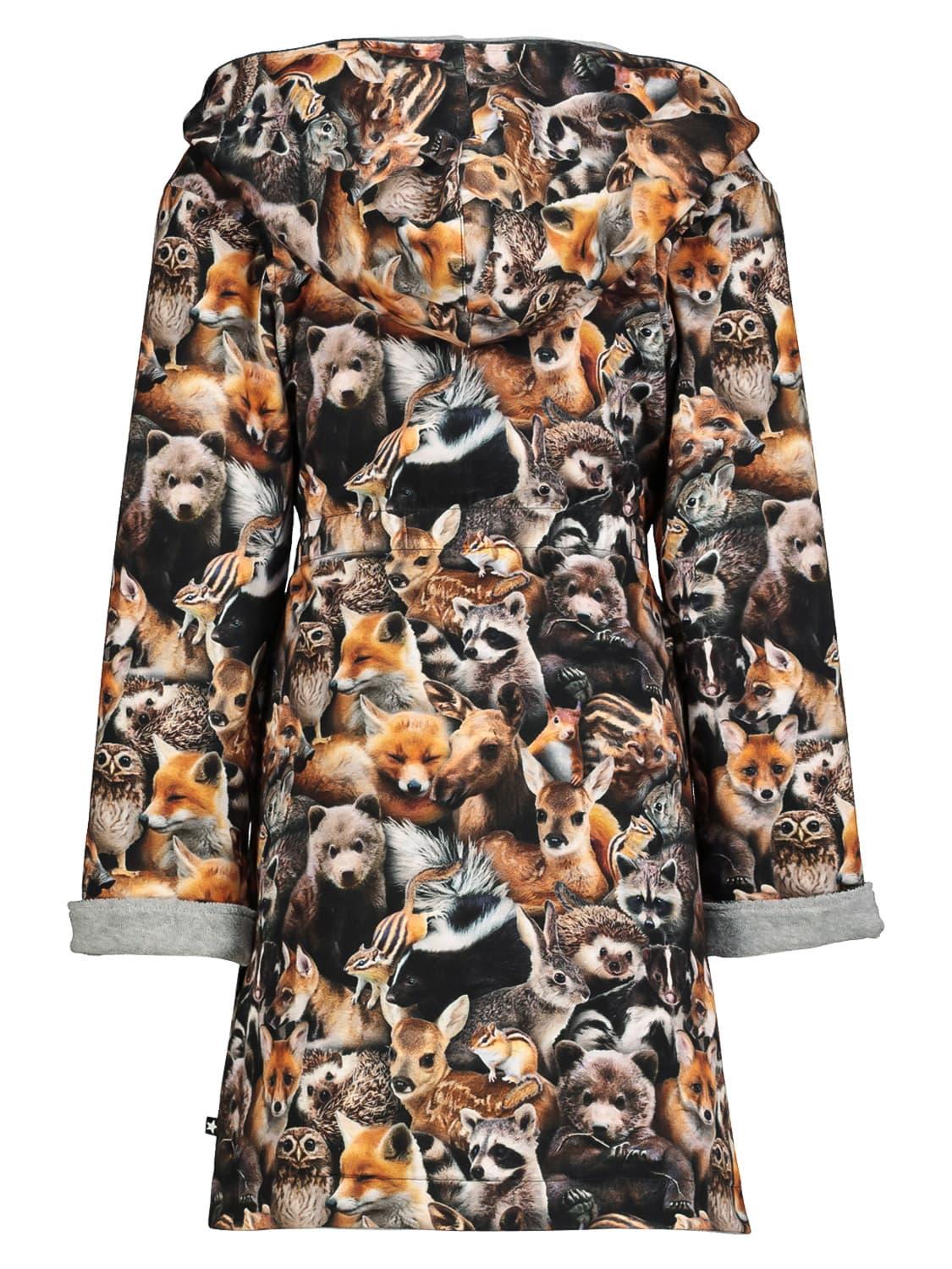 Waymolo MOLO bathrobe Way Brown for boys | NICKIS.com